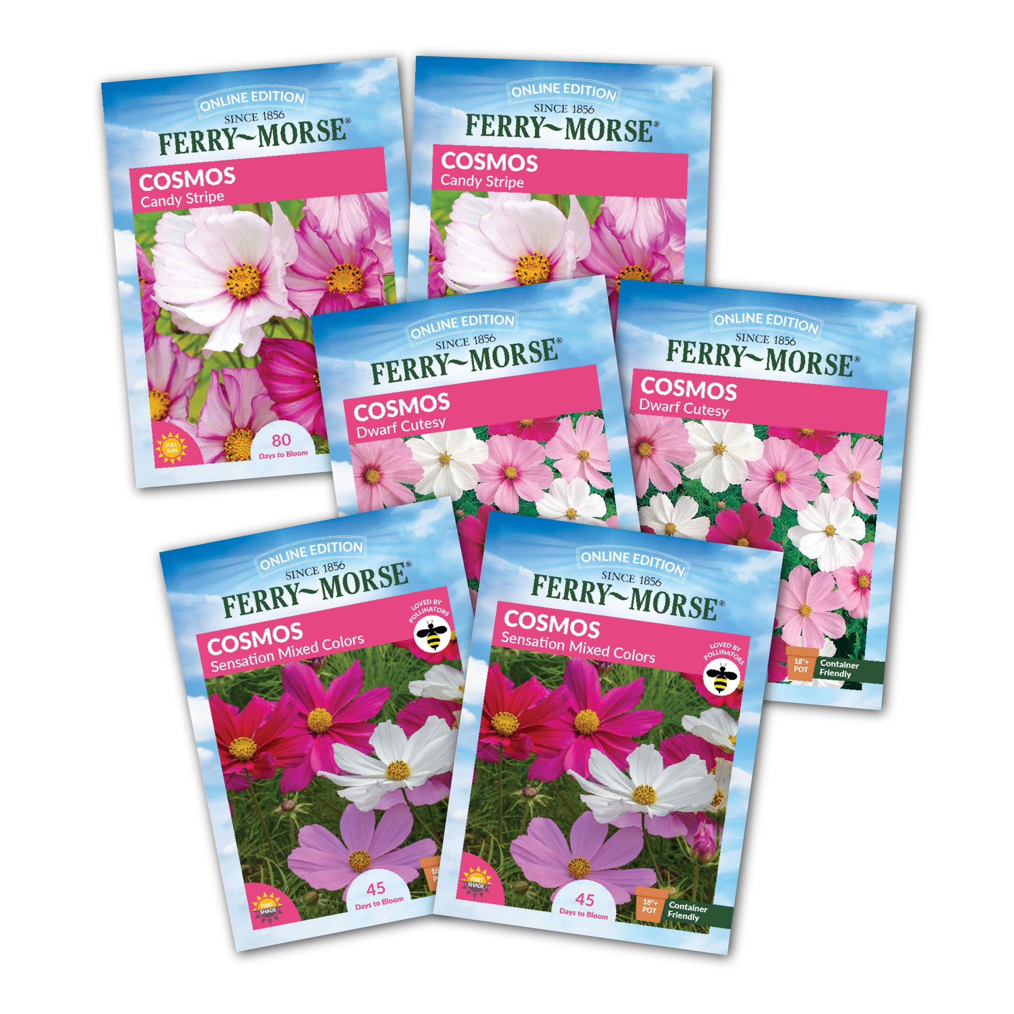 A collection of six seed packets of Cosmos flowers in various colors displayed against a white background.